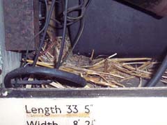 AEC Swift, BPH 106H, The nest box. © J.Wilkins