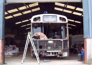 SM106 looks out into the sunshine © J.Wilkins